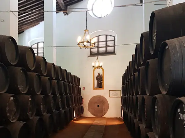 Transporte privado en eventos